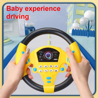 Driving Simulator Toy - Sticky Balls Boutique
