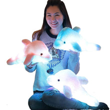 45cm/25cm Luminous Dolphin Plush Toy - Sticky Balls Boutique